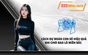 Cách dự đoán con số hiệu quả khi chơi bao lô miền Bắc